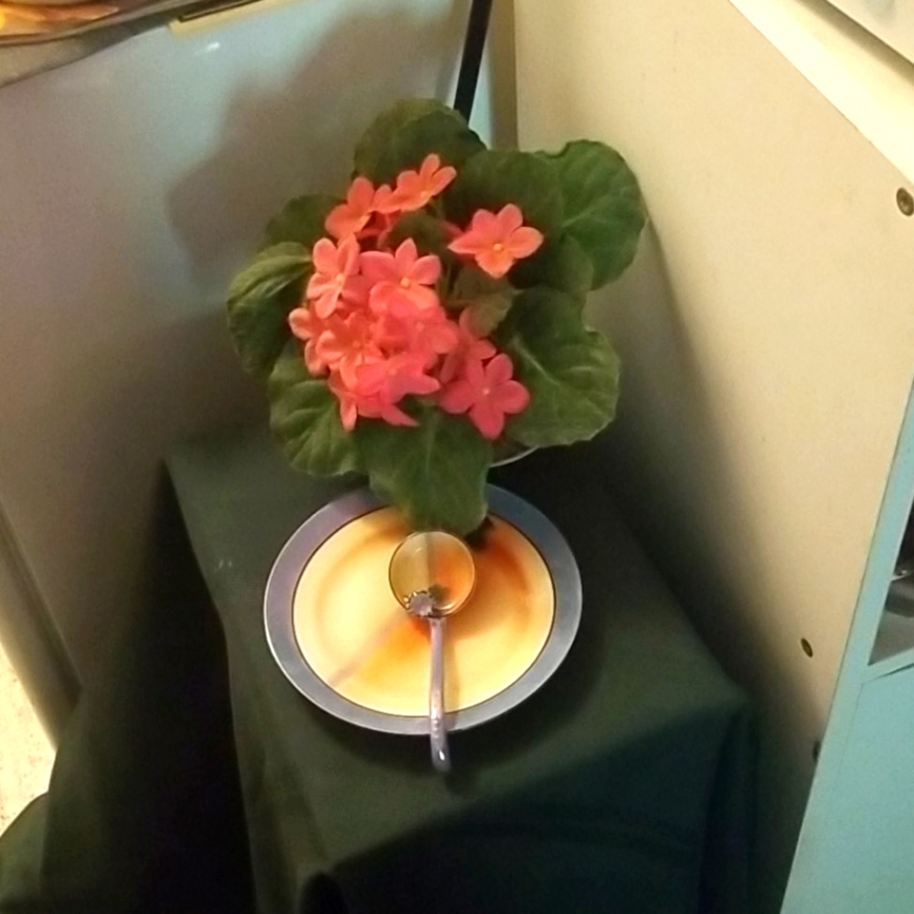 Japanese dish with spoon